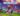 Rematch open beta