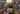 Call of Duty Black Ops 6 Warzone Season 5