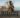 Gallipoli game