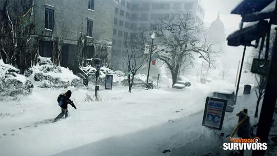 The Division 2 Survivors