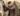 Resident Evil Requiem Leon Kennedy