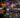 Call of Duty Black Ops 6 gratis