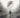 Silent Hill 2 Remake Switch 2
