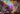 Spellcasters Chronicles