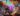 Spellcasters Chronicles
