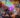 Spellcasters Chronicles