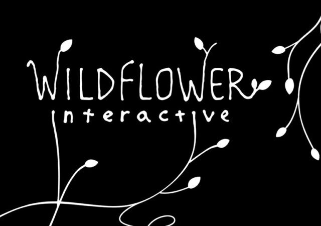 Wildflower Interactive Naughty Dog