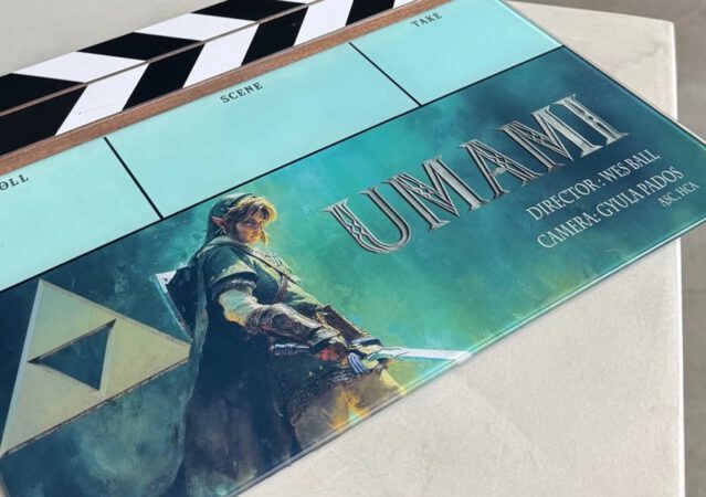 Link The Legend of Zelda film