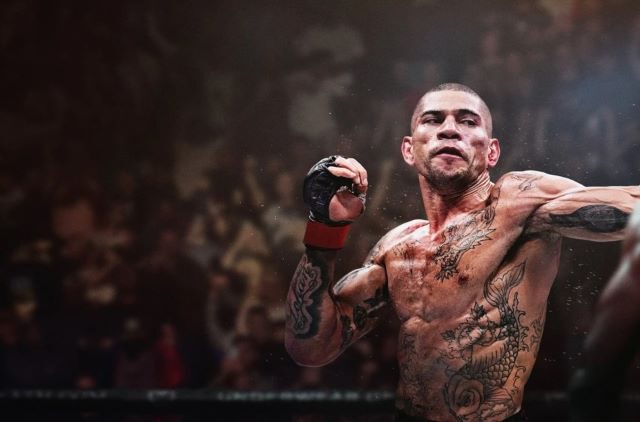 UFC 6 Review